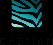 Caspian合作伙伴与Bitmex供给一体化的出资组合服务